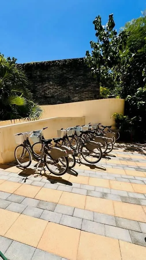 Alberca Privada, Cenote, Casa Baalam Tulum Villa Holiday home